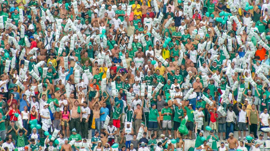 红星彩票网 — 主体证照